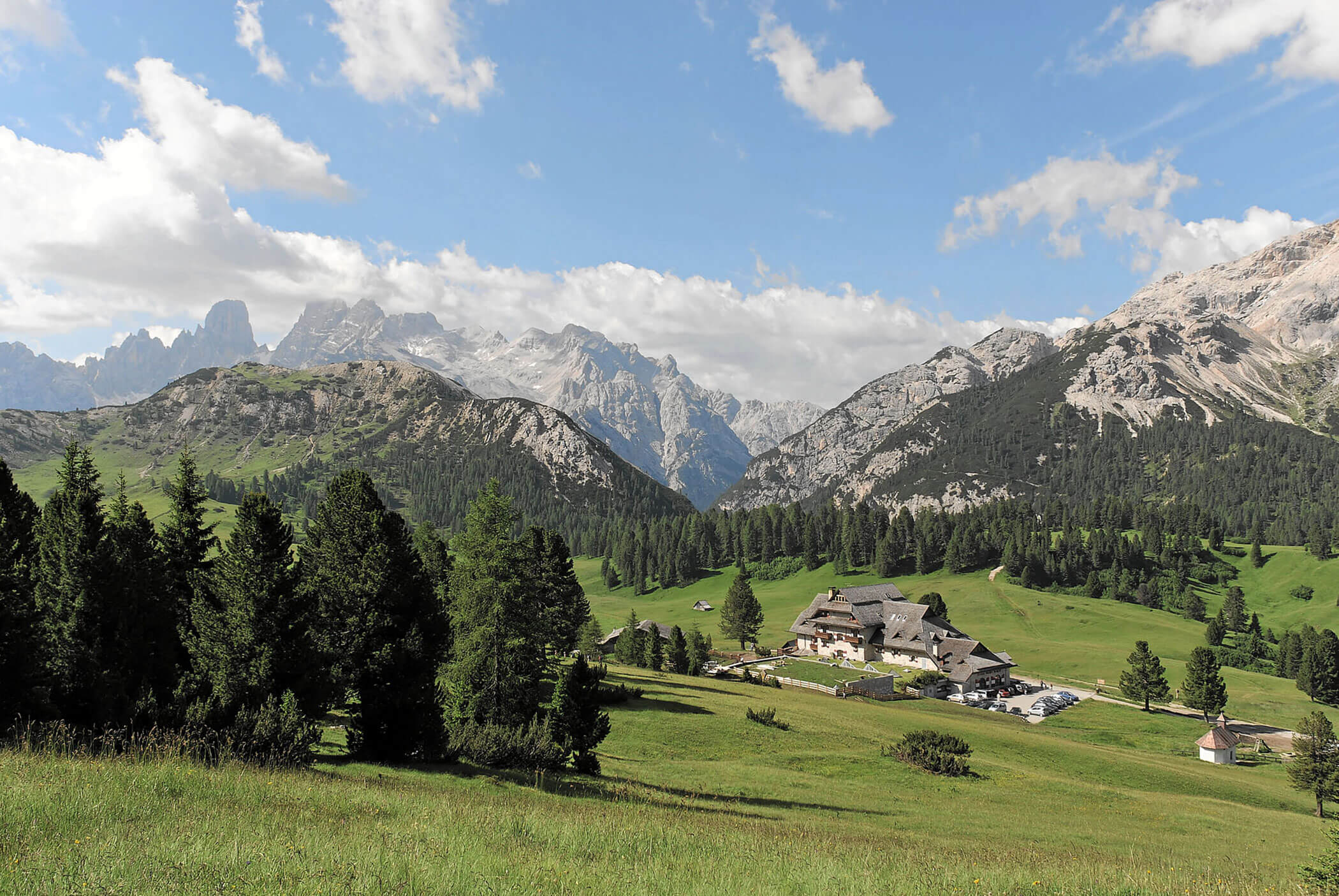 Berglandschaft mit grünen Wiesen, Kiefern, einer Ansammlung von Gebäuden und fernen Felsgipfeln unter blauem Himmel. - Hotel Mooserhof