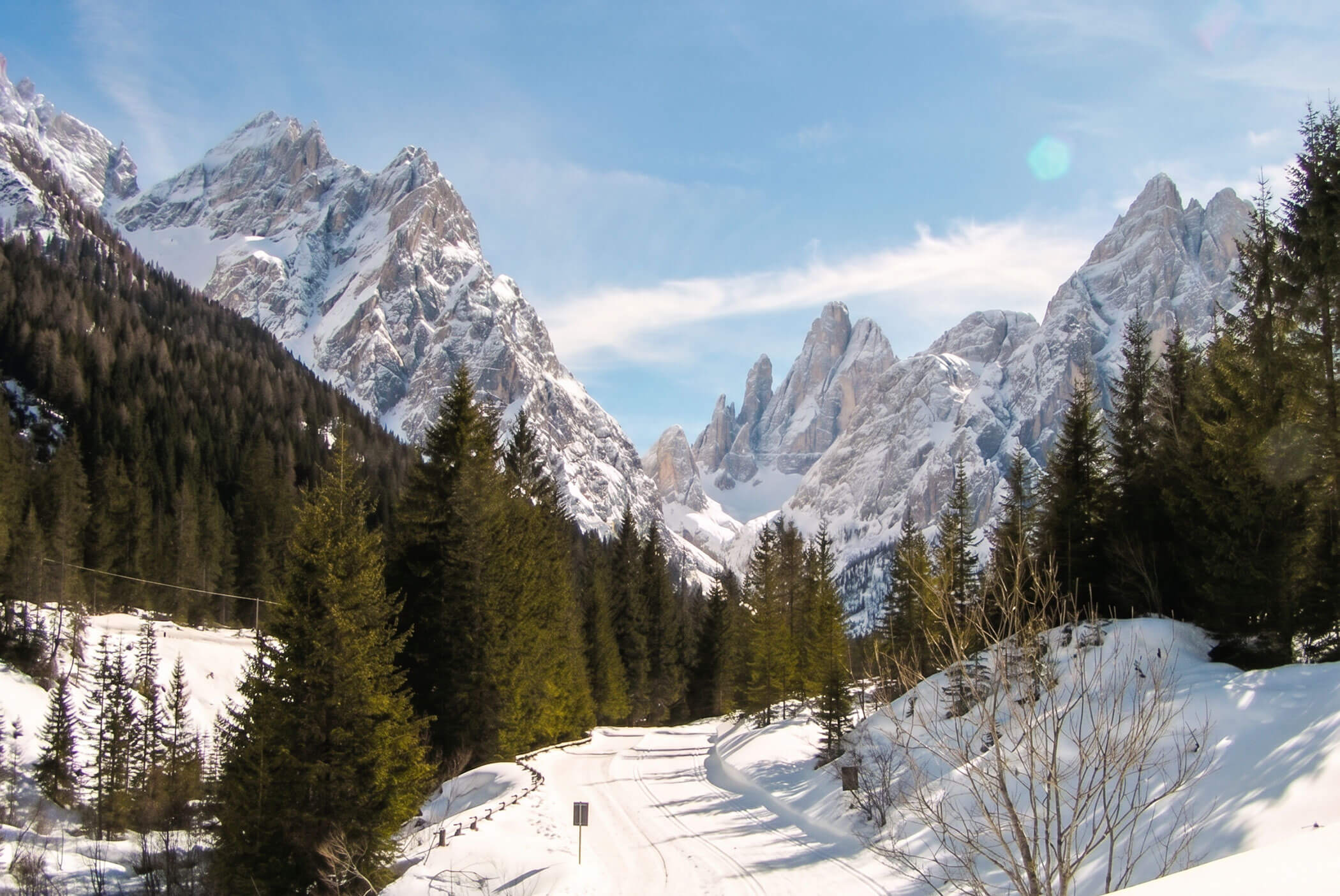 Schneebedeckte Berggipfel und Kiefern unter blauem Himmel, mit einem verschneiten Weg, der sich durch die Szene schlängelt. - Hotel Mooserhof