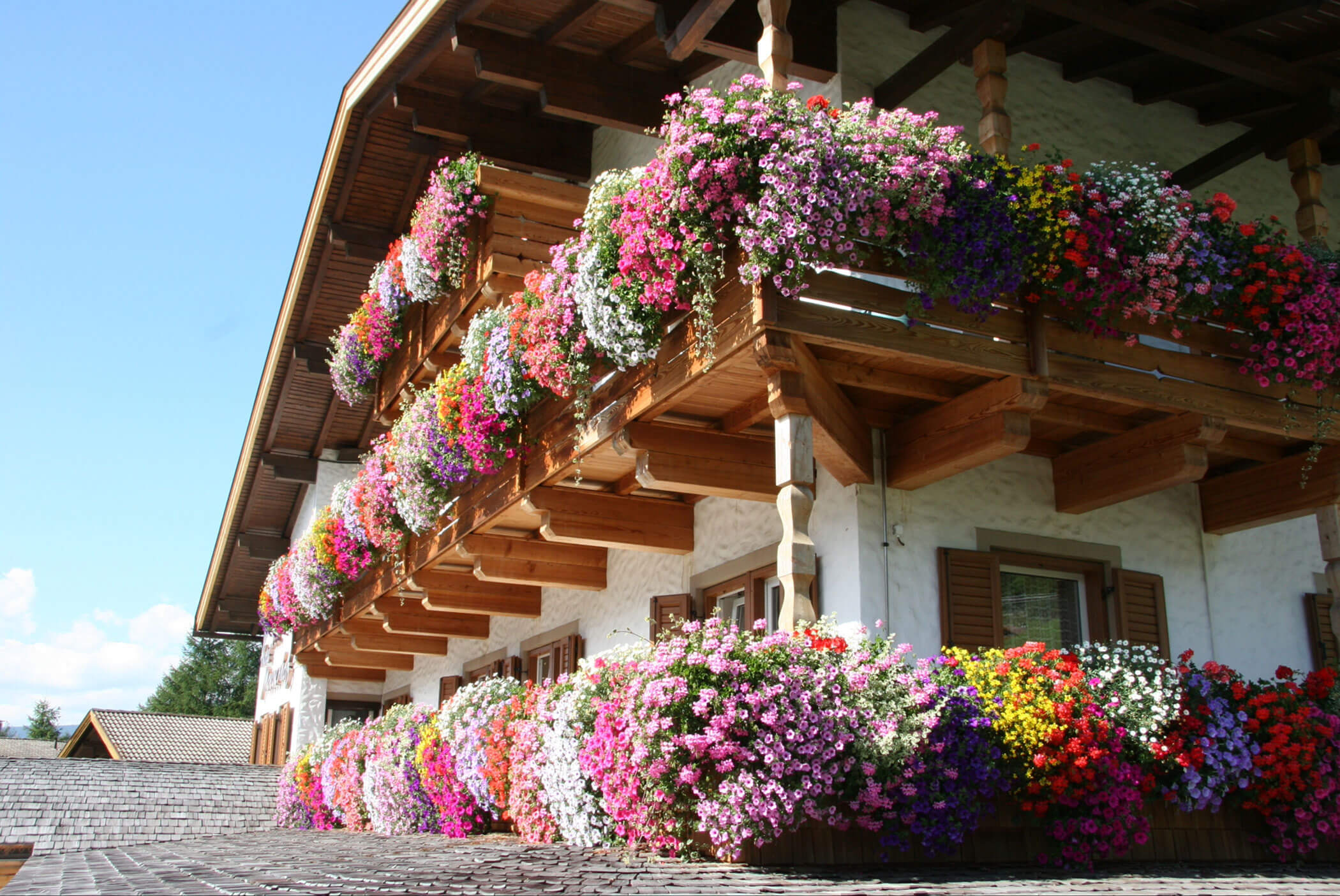 Ein Haus mit Holzbalkonen ist mit bunten, überquellenden Blumenkästen im hellen Sonnenlicht geschmückt. - Hotel Mooserhof