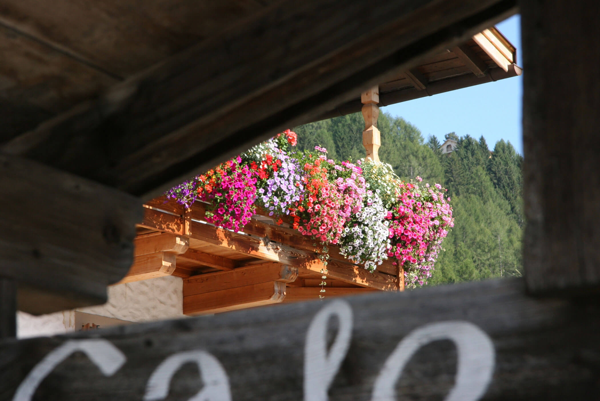 Leuchtende Blumen in Hängekörben auf einem Holzbalkon, eingerahmt von rustikalen Balken, mit grünen Bäumen im Hintergrund. - Hotel Mooserhof